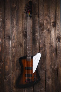 Epiphone Thunderbird VS